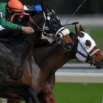 The Preakness Race 2025