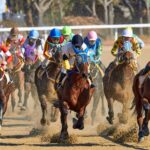 Kentucky Derby (5/3/2025)